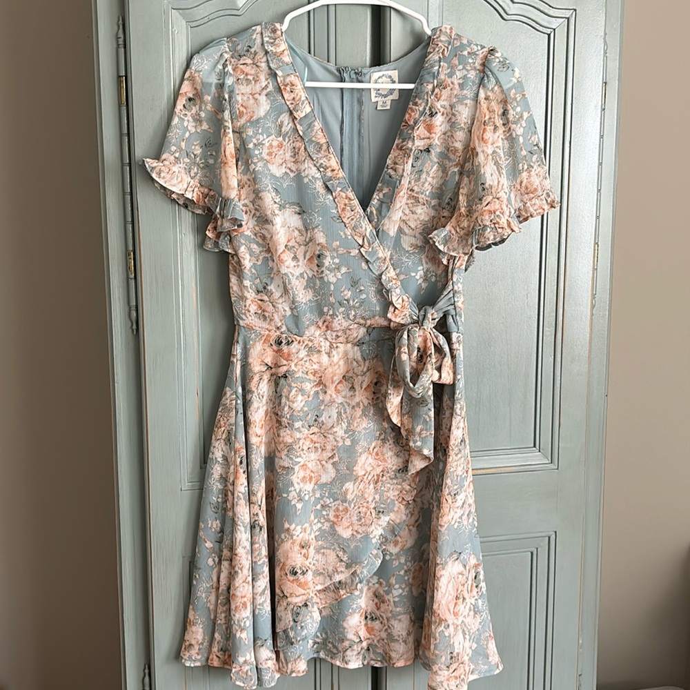 Francesca’s Blue Rain Dress